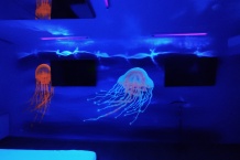 UV Mural Art - Jellyfishes