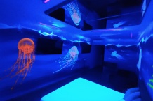 UV graffiti malby na zakázku podmořský svět medůzy