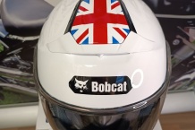 Airbrush design helmy Bobcat.